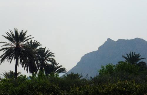 La Joya del Valle de Ricote - Foto 68