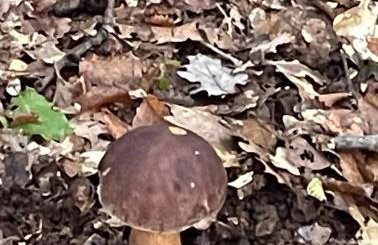 Villa Si'Seta - Photo 35