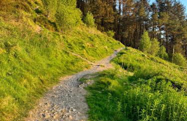 Mountain View Shepherds Hut - Foto 29