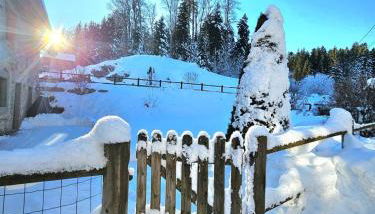 Maison au cœur de la forêt - Foto 3