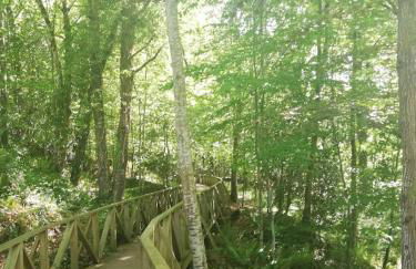 Casa Carminuca - Photo 36