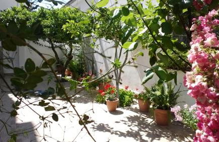 Evia Studios - Photo 9