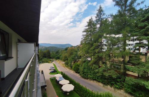 Czarodziejska Góra Kozubnik Daglezja - Foto 41