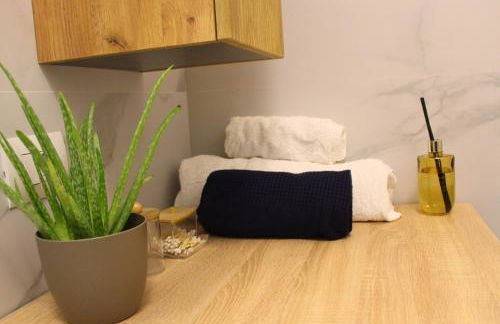 Garden Suite Milano - Vero Gioiello con Giardino a 5 minuti da Mediaset e San Raffaele - Photo 15