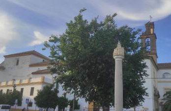 Accommodation Campanario de la Magdalena - Foto 14