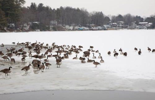 Lakeside Haven, a Modern Cottage with Lake Views - Foto 6
