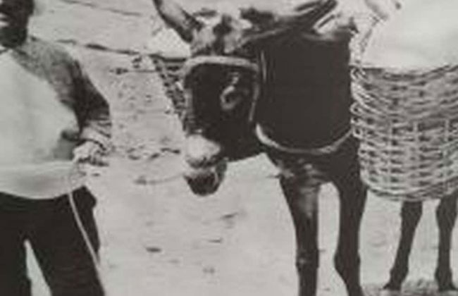 Ermoupoli Comfortable Home - Foto 71