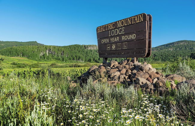 EML 7 Cloven-Hoofed - Foto 35