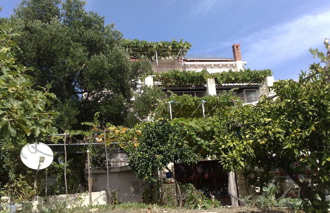 Apartments Kust - Foto 54