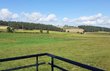 Gîte de fontanes aubrac Margeride loups du gevaudan Lozère - Foto 9