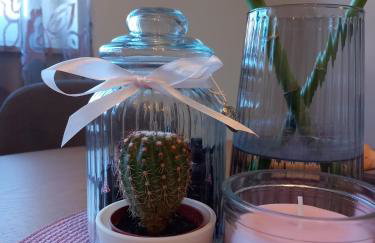 Shalom Krašić - Foto 14