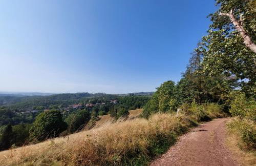 Ferienwohnung Auszeit Osterode - Foto 35