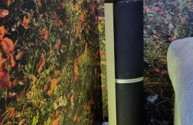 Ferienhaus Rehblick - direkt in der Natur, mit Lesezimmer und zwei Terrassen - Foto 6