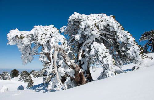 Tana Libera Tutti 2 Nature, Yourself, Love - Foto 43