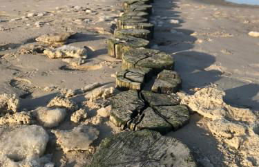 Eschen´s Blick - Foto 60