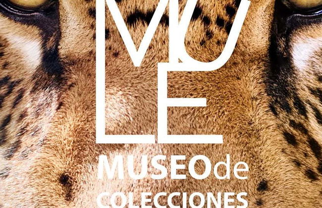 Visita guiada ao Museu de Coleções da Universidade de León - Foto 1