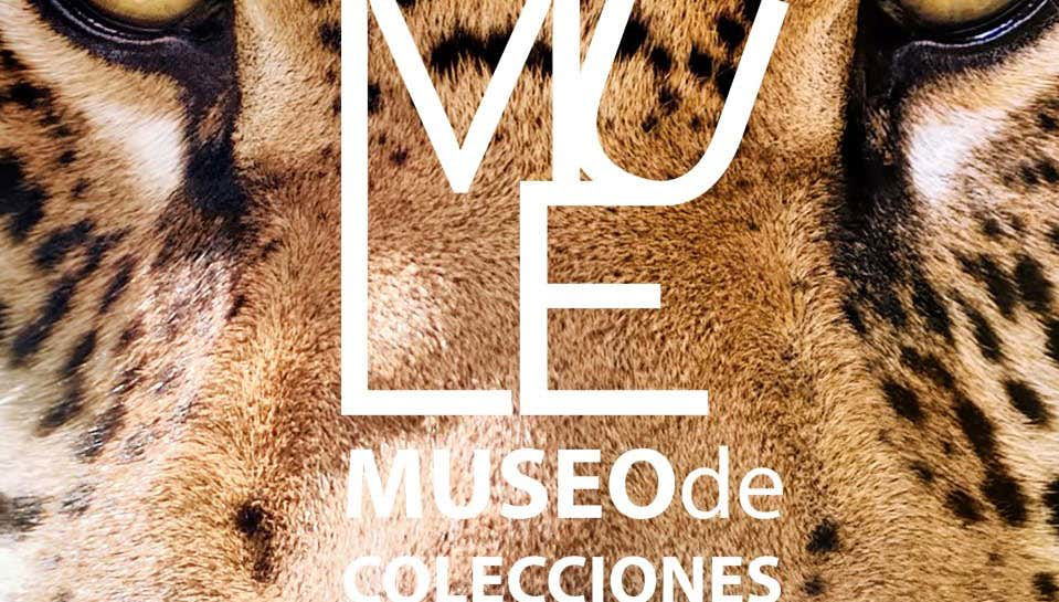 Visita guiada ao Museu de Coleções da Universidade de León