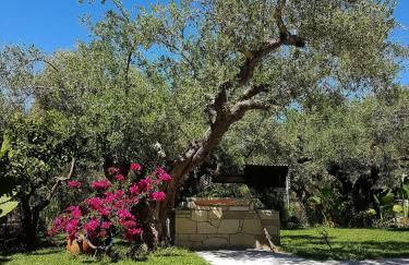 Elia Guesthouse - Kissamos - Foto 10