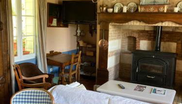 Rose des prés - Foto 3