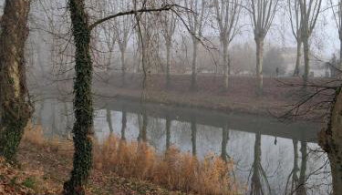 La terrasse Majorelle. - Foto 5