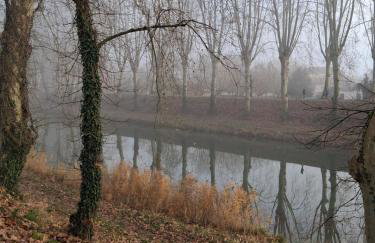 La terrasse Majorelle. - Foto 5