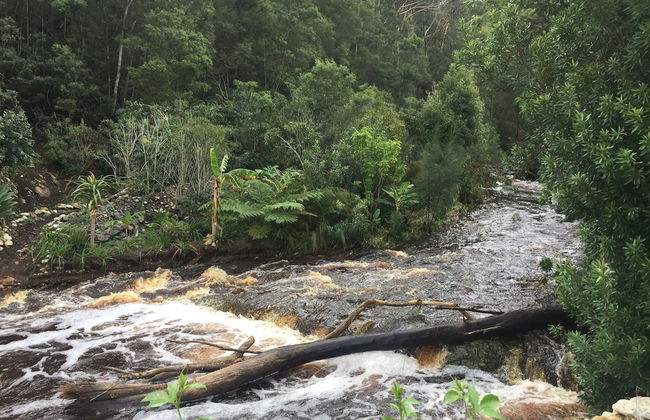 A Riverbed Guesthouse - Photo 40