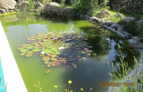 Monte das Mariolas - Foto 15