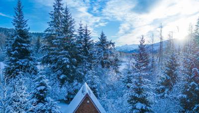 Glacier Creek Cabins - Foto 2