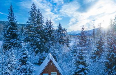 Glacier Creek Cabins - Foto 2