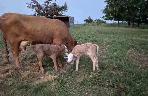 The Varnadoe Villa- Farm Stay - Foto 47