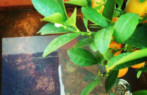 ARTE y descanso en Sevilla - Foto 53