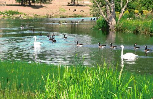 Farm woodland riverview cabin bbq firepit pet friendly - Foto 60