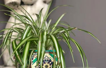 KIRA Beach House, Hove Beach - Foto 24