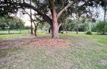 The Deer Retreat at Venus - Foto 8