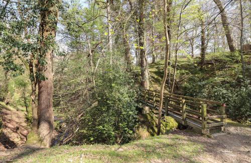 Tan Y Capel - Foto 24