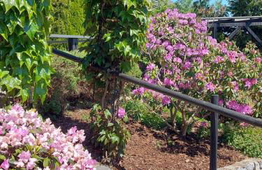 Ferienhaus-Zandt - Foto 19