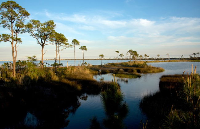 Crystal Shores West Condos by Hosteeva - Foto 53