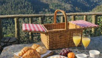 Refúgio com Tanque Privado e Azeite Artesanal - Foto 1