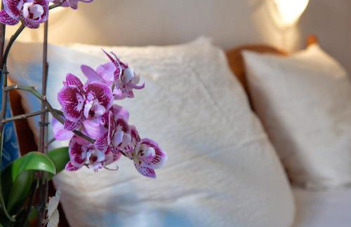 Residence Barbara - Foto 46