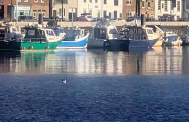 Stunning Views of Whitby Habour - Foto 12