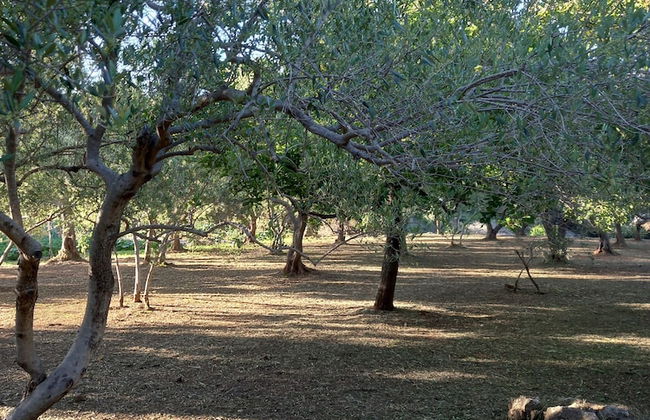 Villa Sea Dream - Foto 48