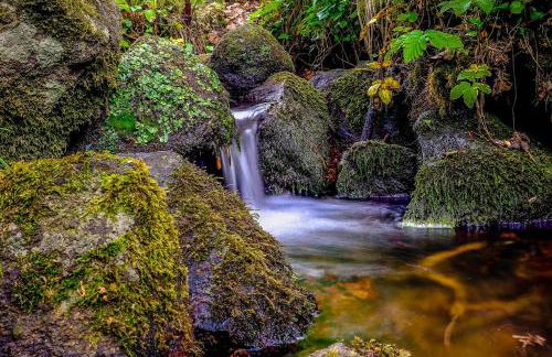 longère ty nico 1 chambre - Foto 10