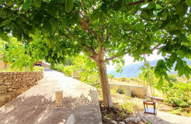 Apartman Mihaela - Photo 16