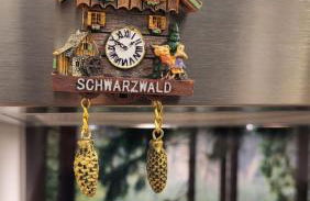 FeWo Gretel Schönwald - Foto 15