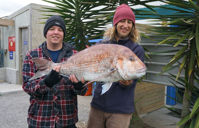 Island View Holiday Park - Foto 39