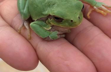 Agriturismo Colpo di Fortuna - Foto 64