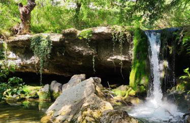 Suite Curry - Photo 6