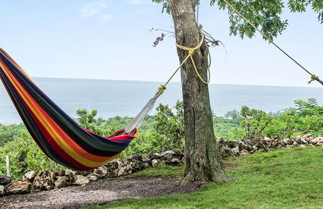 High Life Villa - Photo 28