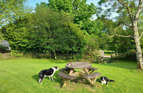Sheepfold Cottage Dulverton - Foto 19