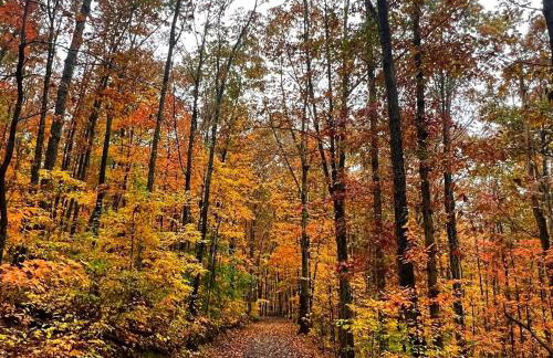 Serenity Escape Treehouse on 14 acres near Little River Canyon - Foto 10